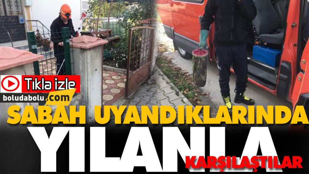 SABAH UYANDIKLARINDA YILANLA KARŞILAŞTILAR SABAH UYANDIKLARINDA YILANLA KARŞILAŞTILAR