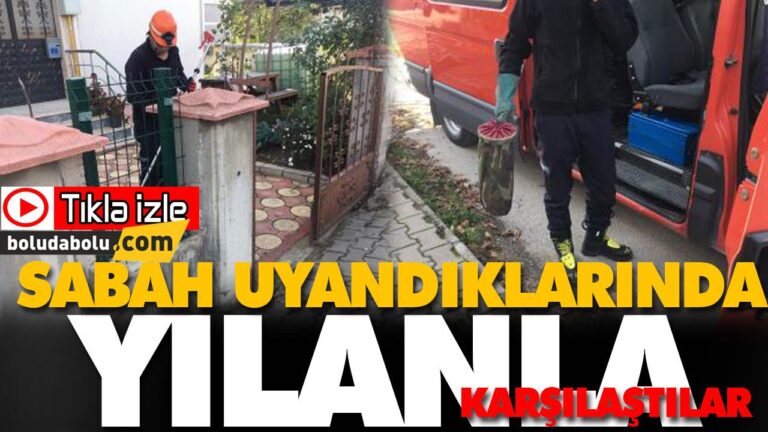 SABAH UYANDIKLARINDA YILANLA KARŞILAŞTILAR