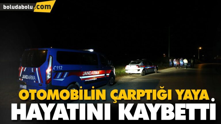 OTOMOBİLİN ÇARPTIĞI YAYA HAYATINI KAYBETTİ