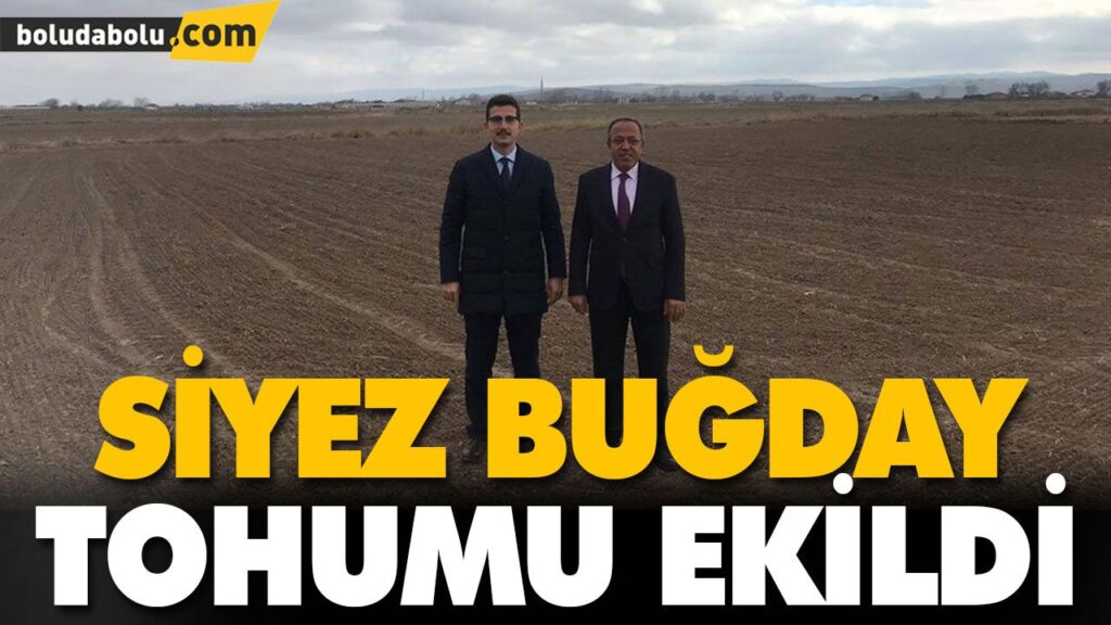SİYEZ BUĞDAY TOHUMU EKİLDİ SİYEZ BUĞDAY TOHUMU EKİLDİ