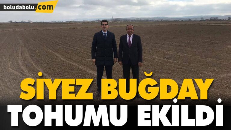 SİYEZ BUĞDAY TOHUMU EKİLDİ