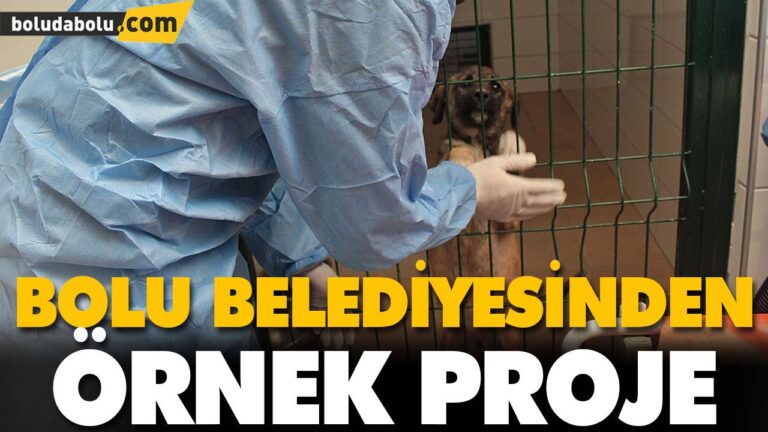 BOLU BELEDİYESİNDEN ÖRNEK PROJE