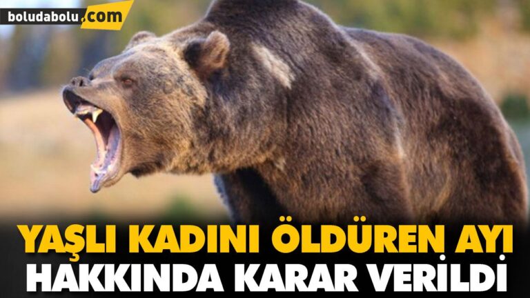 YAŞLI KADINI ÖLDÜREN AYI HAKKINDA KARAR VERİLDİ