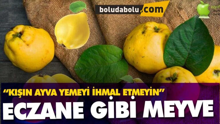 “KIŞIN AYVA YEMEYİ İHMAL ETMEYİN” ECZANE GİBİ MEYVE