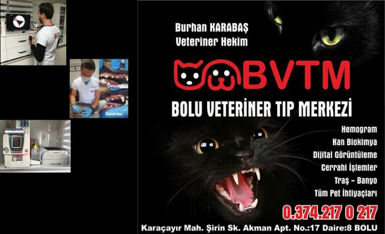 Bolu Veteriner Tıp Merkezi Kliniği