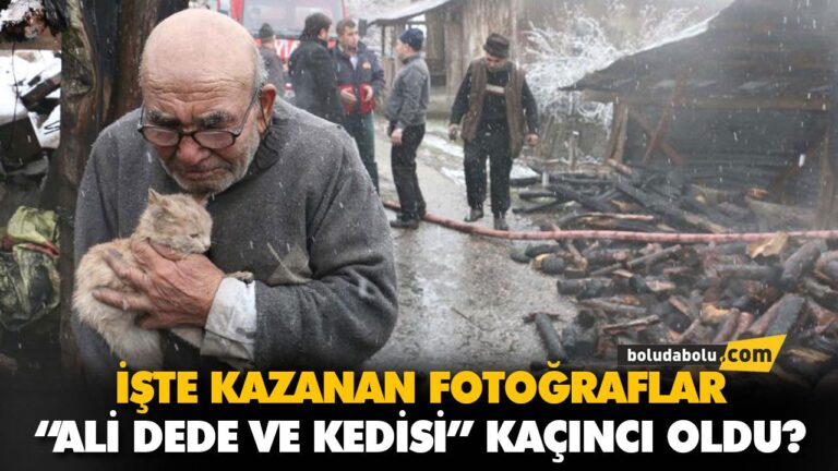 “ALİ DEDE VE KEDİSİ” KAÇINCI OLDU?