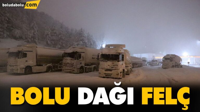 BOLU DAĞI FELÇ