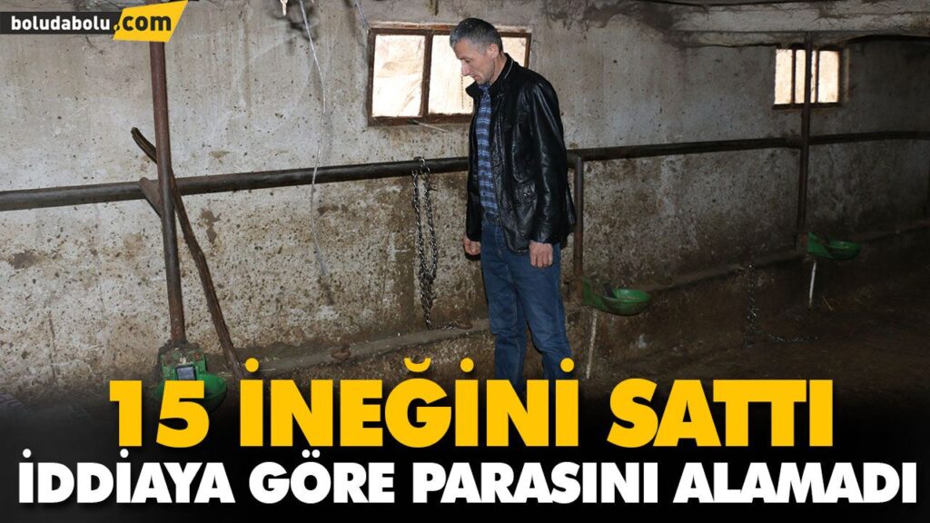 15 İNEĞİNİ SATTI İDDİAYA GÖRE PARASINI ALAMADI 15 İNEĞİNİ SATTI İDDİAYA GÖRE PARASINI ALAMADI