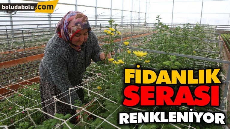 FİDANLIK SERASI RENKLENİYOR
