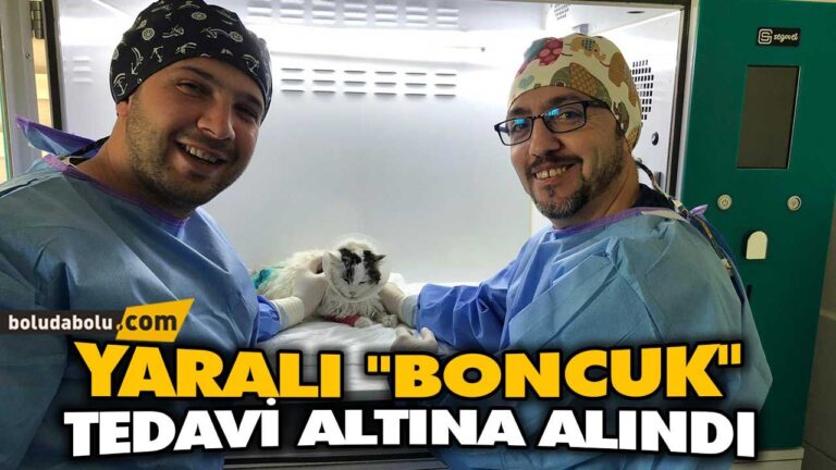 YARALI “BONCUK” TEDAVİ ALTINA ALINDI