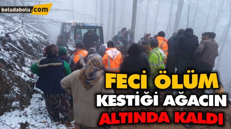 KESTİĞİ AĞACIN ALTINDA KALDI