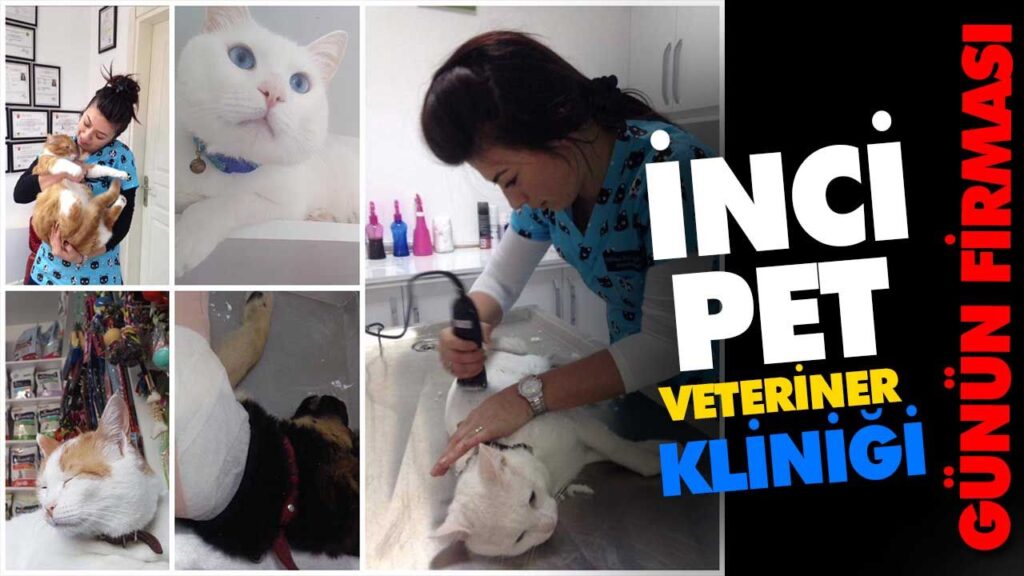 İNCİ PET VETERİNER KLİNİĞİ