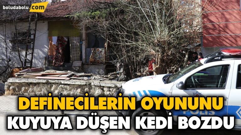DEFİNECİLERİN OYUNUNU KUYUYA DÜŞEN KEDİ BOZDU