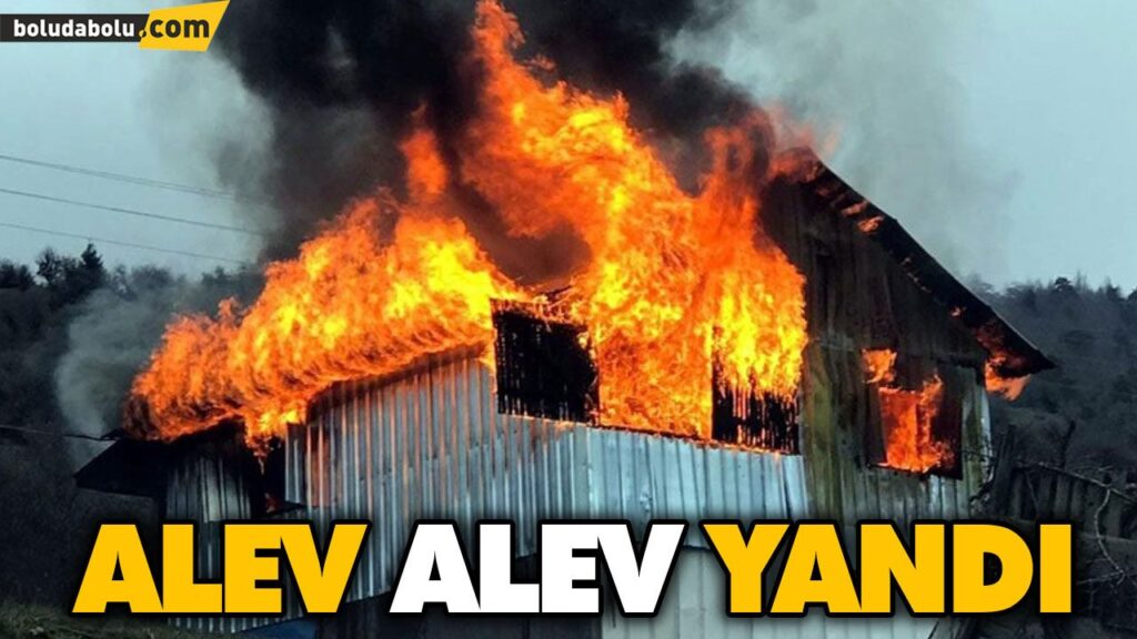 ALEV ALEV YANDI