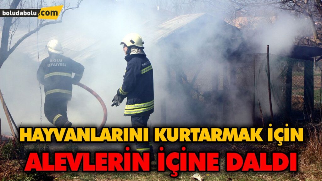 HAYVANLARINI KURTARMAK İÇİN ALEVLERİN İÇİNE DALDI HAYVANLARINI KURTARMAK İÇİN ALEVLERİN İÇİNE DALDI