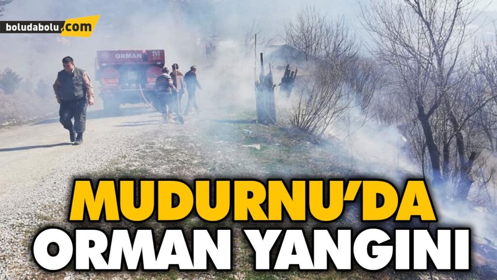 MUDURNU’DA ORMAN YANGINI MUDURNU’DA ORMAN YANGINI