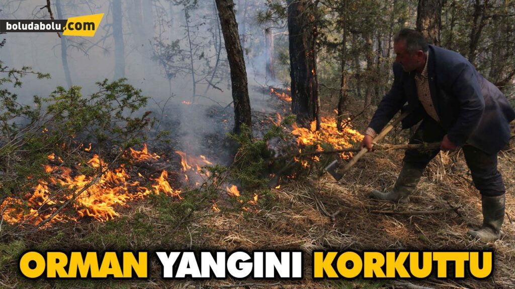ORMAN YANGINI KORKUTTU ORMAN YANGINI KORKUTTU