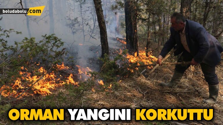 ORMAN YANGINI KORKUTTU