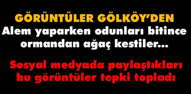 PİKNİKTE AĞAÇ KESTİLER PİKNİKTE AĞAÇ KESTİLER