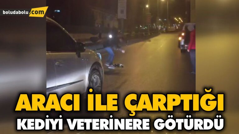 ARACI İLE ÇARPTIĞI KEDİYİ VETERİNERE GÖTÜRDÜ