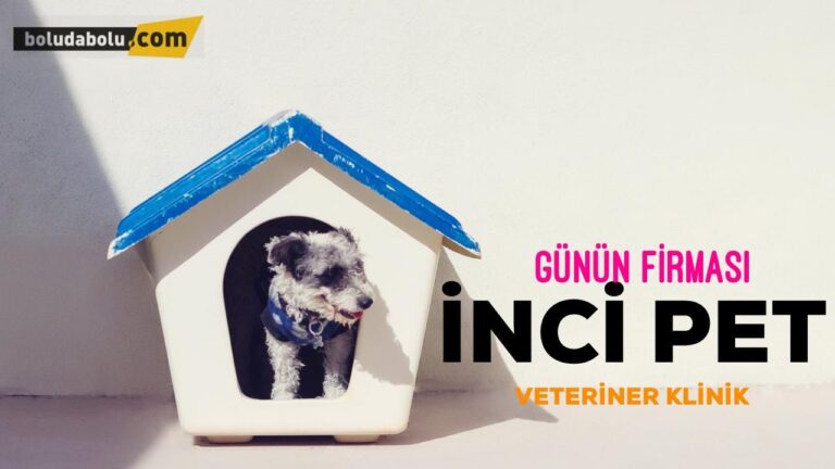 İnci Pet Veteriner Kliniği