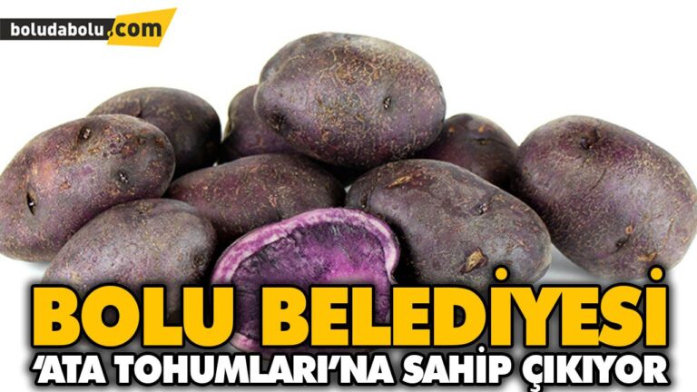 BOLU BELEDİYESİ ‘ATA TOHUMLARI’NA SAHİP ÇIKIYOR