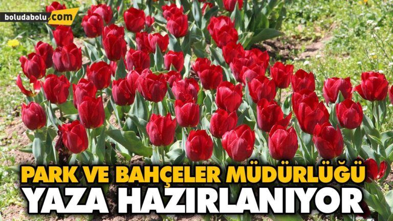 PARK VE BAHÇELER MÜDÜRLÜĞÜ YAZA HAZIRLANIYOR