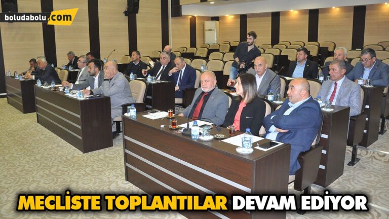MECLİSTE TOPLANTILAR DEVAM EDİYOR