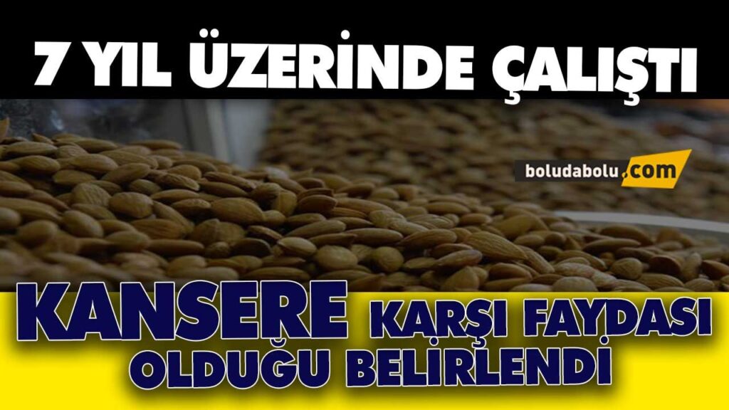 KANSERE KARŞI FAYDASI OLDUĞU BELİRLENDİ KANSERE KARŞI FAYDASI OLDUĞU BELİRLENDİ
