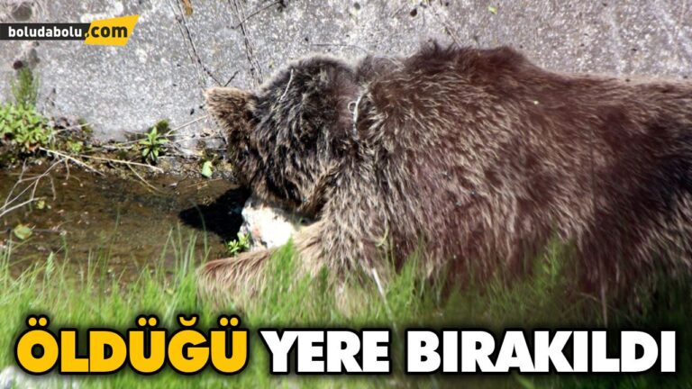 ÖLDÜĞÜ YERE BIRAKILDI