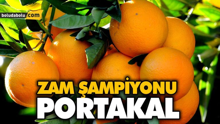BOLU’DA ZAM ŞAMPİYONU PORTAKAL