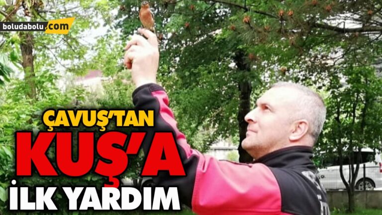 ÖNCE CAMA VURDU SONRA BAYILDI