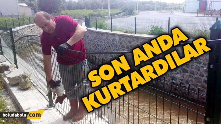 SON ANDA KURTARTILDILAR