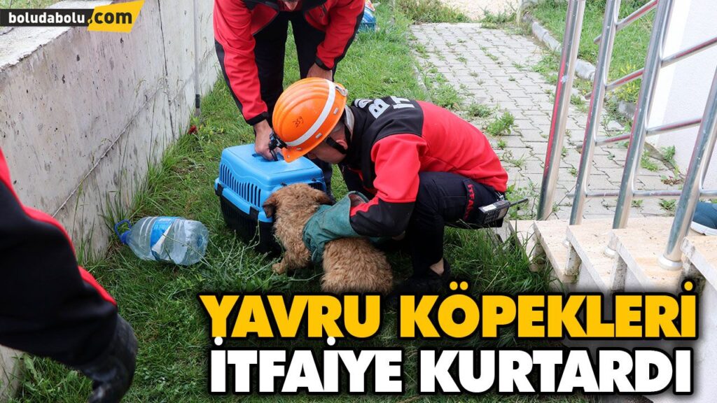 YAVRU KÖPEKLERİ İTFAİYE KURTARDI YAVRU KÖPEKLERİ İTFAİYE KURTARDI