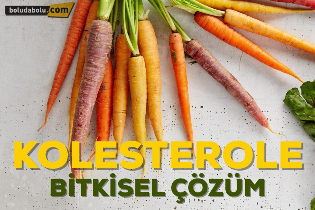 Kolesterolü Düşürmek İçin Bitkisel Çözümler Nelerdir? Kolesterolü Düşürmek İçin Bitkisel Çözümler Nelerdir?