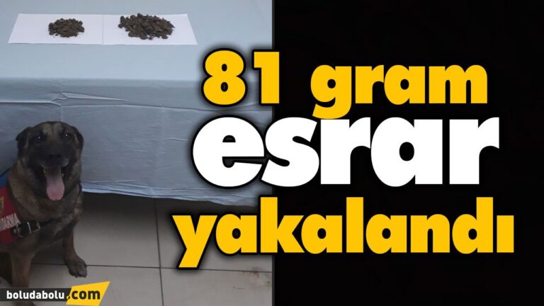 81 gram esrar yakalandı