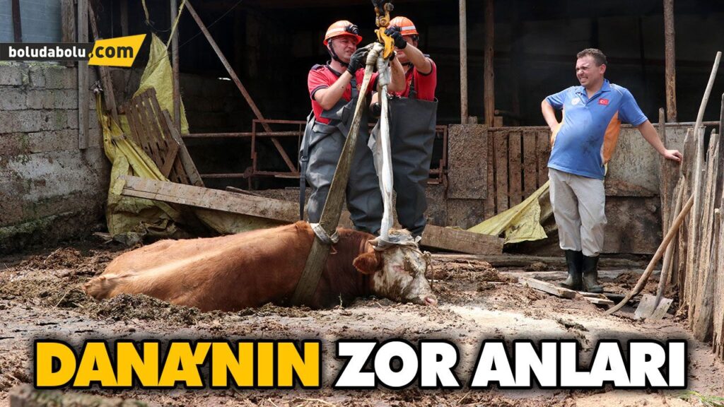 DANA’NIN ZOR ANLARI DANA’NIN ZOR ANLARI