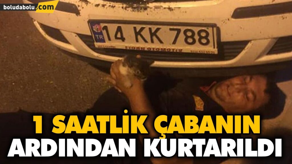 ARAÇTA SIKIŞAN KEDİ KURTARILDI