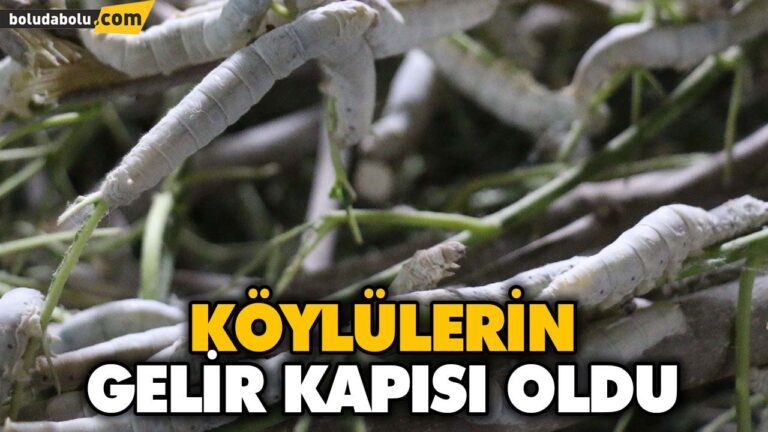 KÖYLÜLERİN GELİR KAPISI OLDU