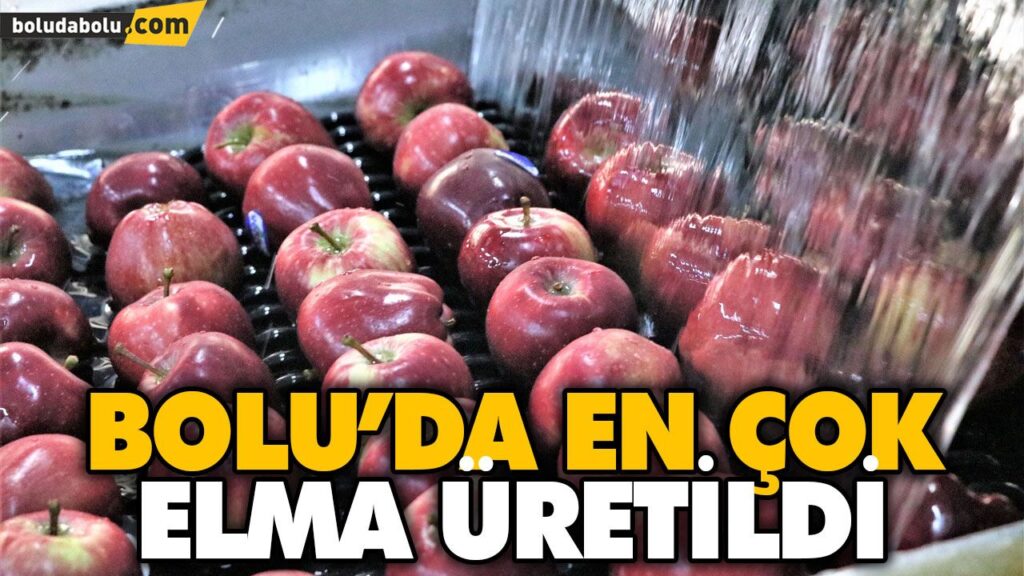 BOLU’DA EN ÇOK ELMA ÜRETİLDİ BOLU’DA EN ÇOK ELMA ÜRETİLDİ