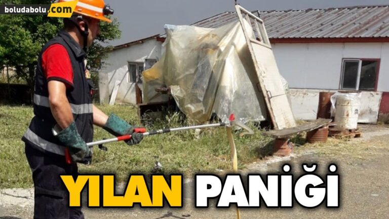 YILAN PANİĞİ