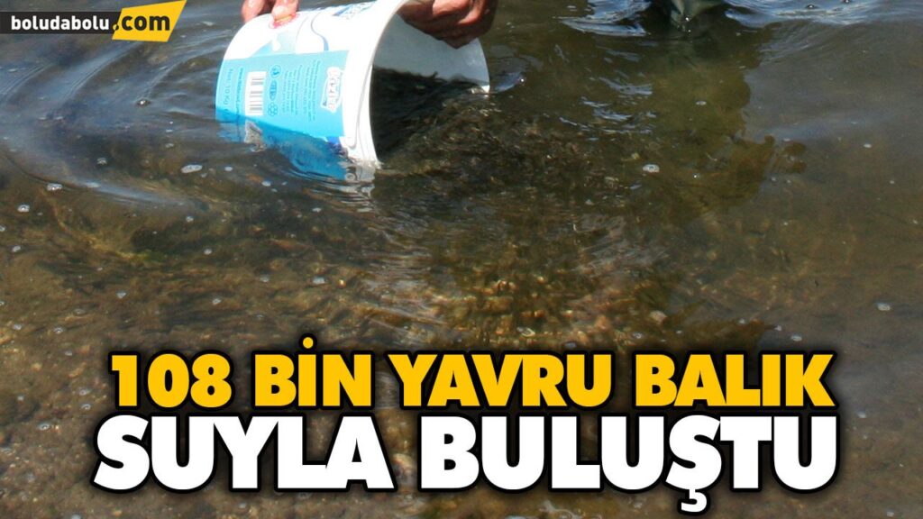 108 BİN YAVRU BALIK SUYLA BULUŞTU 108 BİN YAVRU BALIK SUYLA BULUŞTU