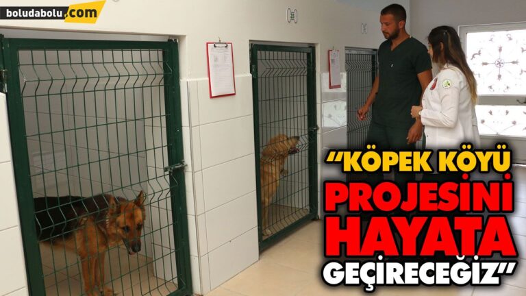 “KÖPEK KÖYÜ PROJESİNİ HAYATA GEÇİRECEĞİZ”