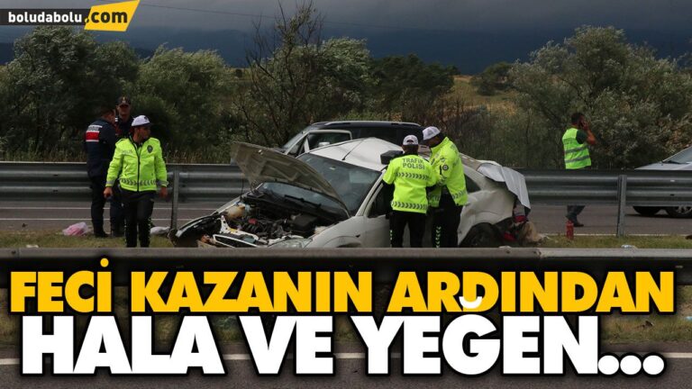 KAZADA YARALANAN HALA VE YEĞENİ YAŞAMINI YİTİRDİ