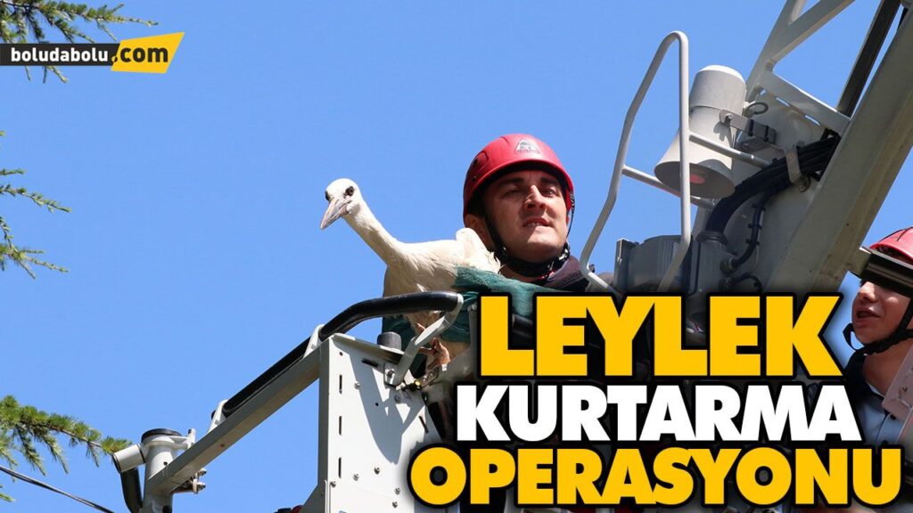 YARALI LEYLEĞİ İTFAİYE KURTARDI YARALI LEYLEĞİ İTFAİYE KURTARDI
