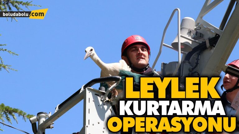 YARALI LEYLEĞİ İTFAİYE KURTARDI