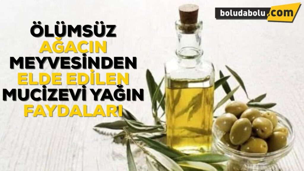 Zeytinyağının Mucizevi Faydaları Zeytinyağının Mucizevi Faydaları