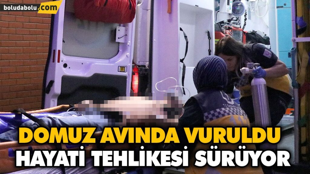 DOMUZ AVINDA VURULDU DOMUZ AVINDA VURULDU