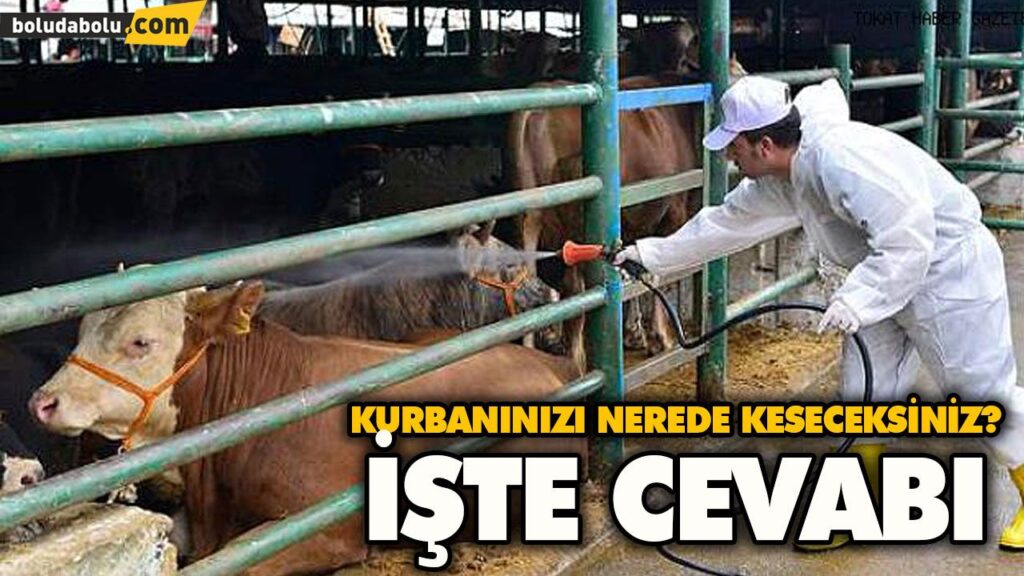 BOLU MERKEZDE KURBAN KESİM YERLERİ BELLİ OLDU BOLU MERKEZDE KURBAN KESİM YERLERİ BELLİ OLDU