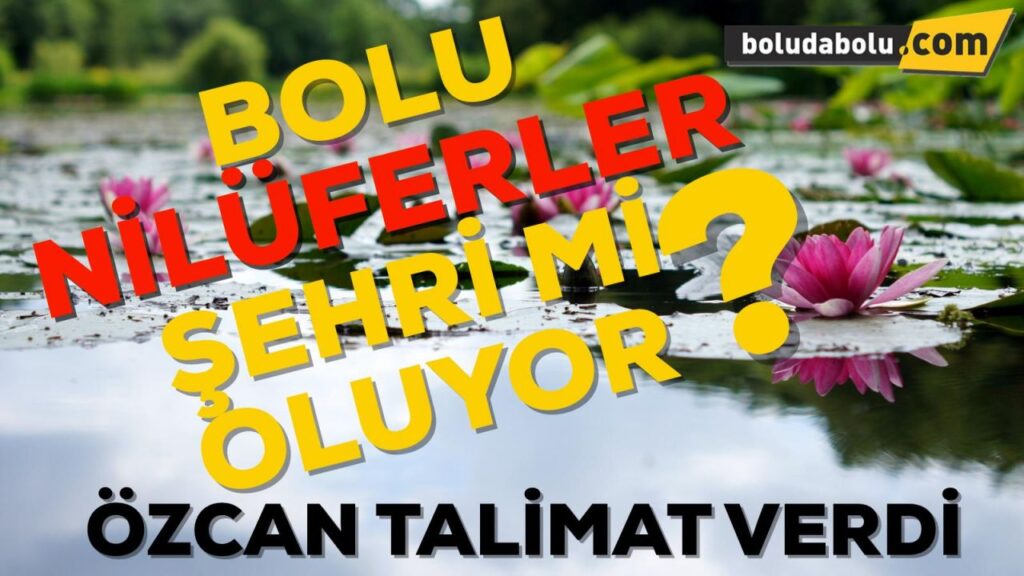 BOLU NİLÜFERLER ŞEHRİ Mİ OLUYOR ? BOLU NİLÜFERLER ŞEHRİ Mİ OLUYOR ?